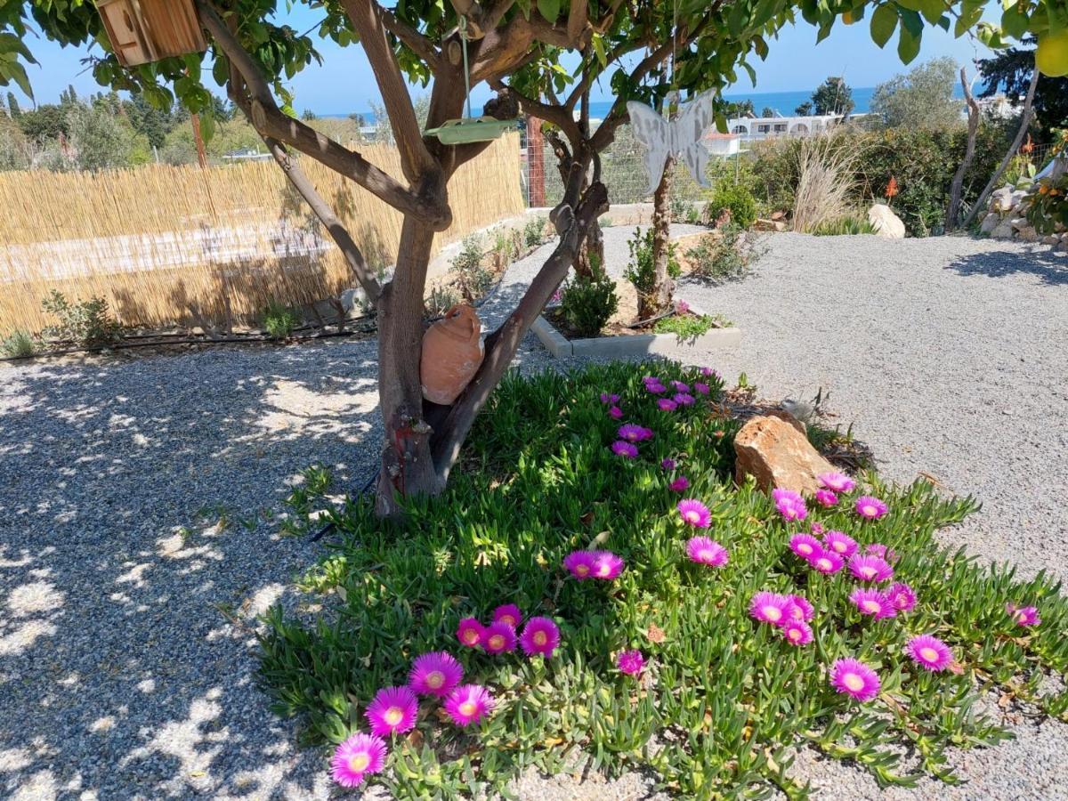 Ktima Natura Archangelos  Exterior foto